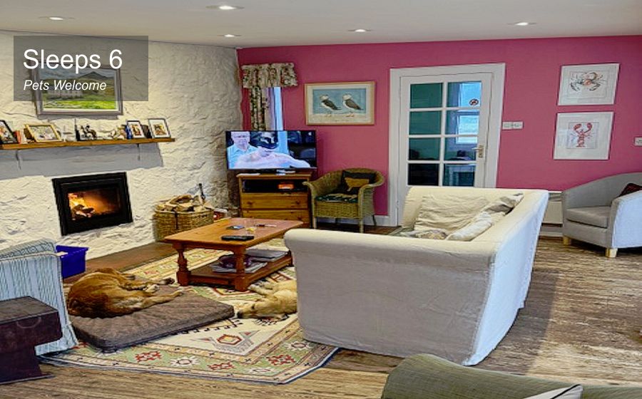 Amazing wildlife on the Isle of Mull