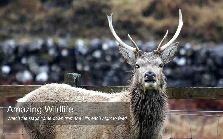 Holiday self catering holidays