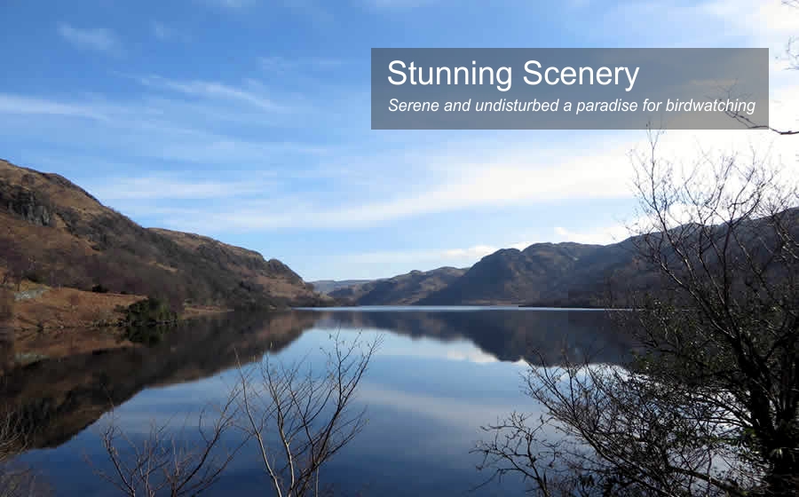 Scotland island holidays self catering